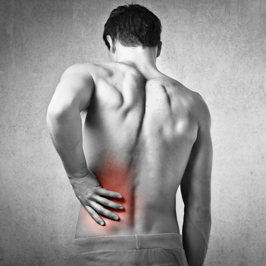 Fitnessstudio Göppingen | Alex Medical Fitness - Rehasport